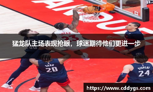 猛龙队主场表现抢眼，球迷期待他们更进一步