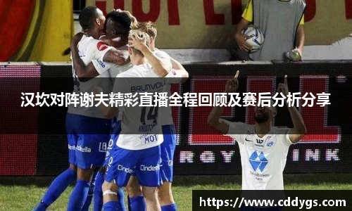 汉坎对阵谢夫精彩直播全程回顾及赛后分析分享