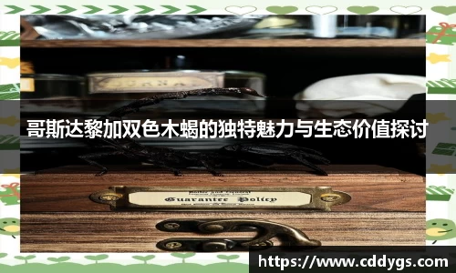 雷火竞技