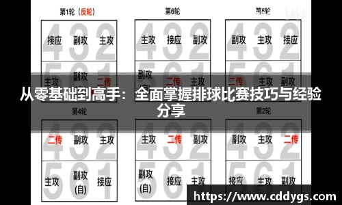从零基础到高手：全面掌握排球比赛技巧与经验分享